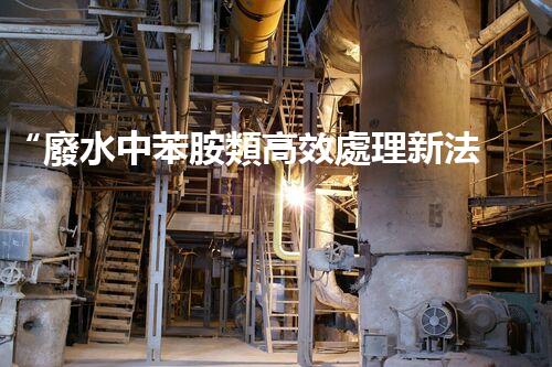 “廢水中苯胺類高效處理新法，環(huán)保先鋒引領綠色以后”